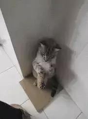 这就是做财务的你…哈哈哈哈哈