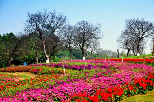 东莞松山湖环湖自行车赏花一天游双人套餐29.9元—套！烟雨松湖