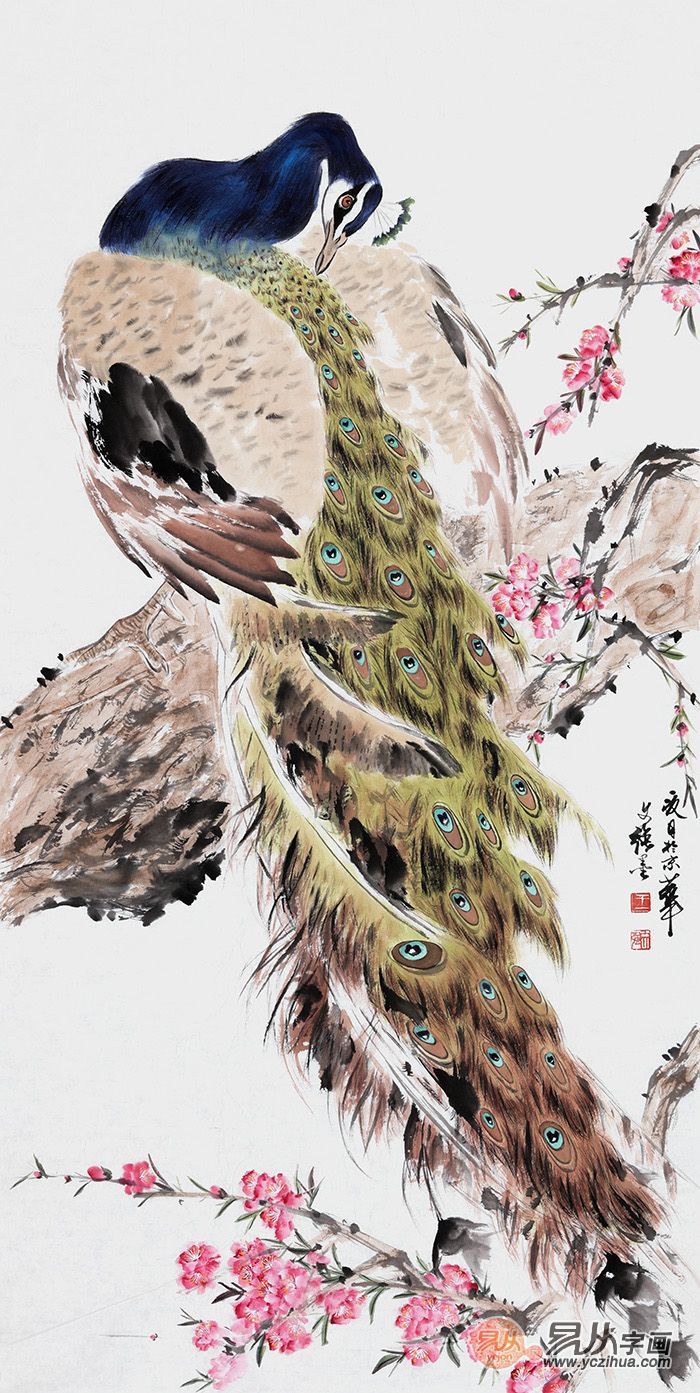 高贵,冷艳的白孔雀