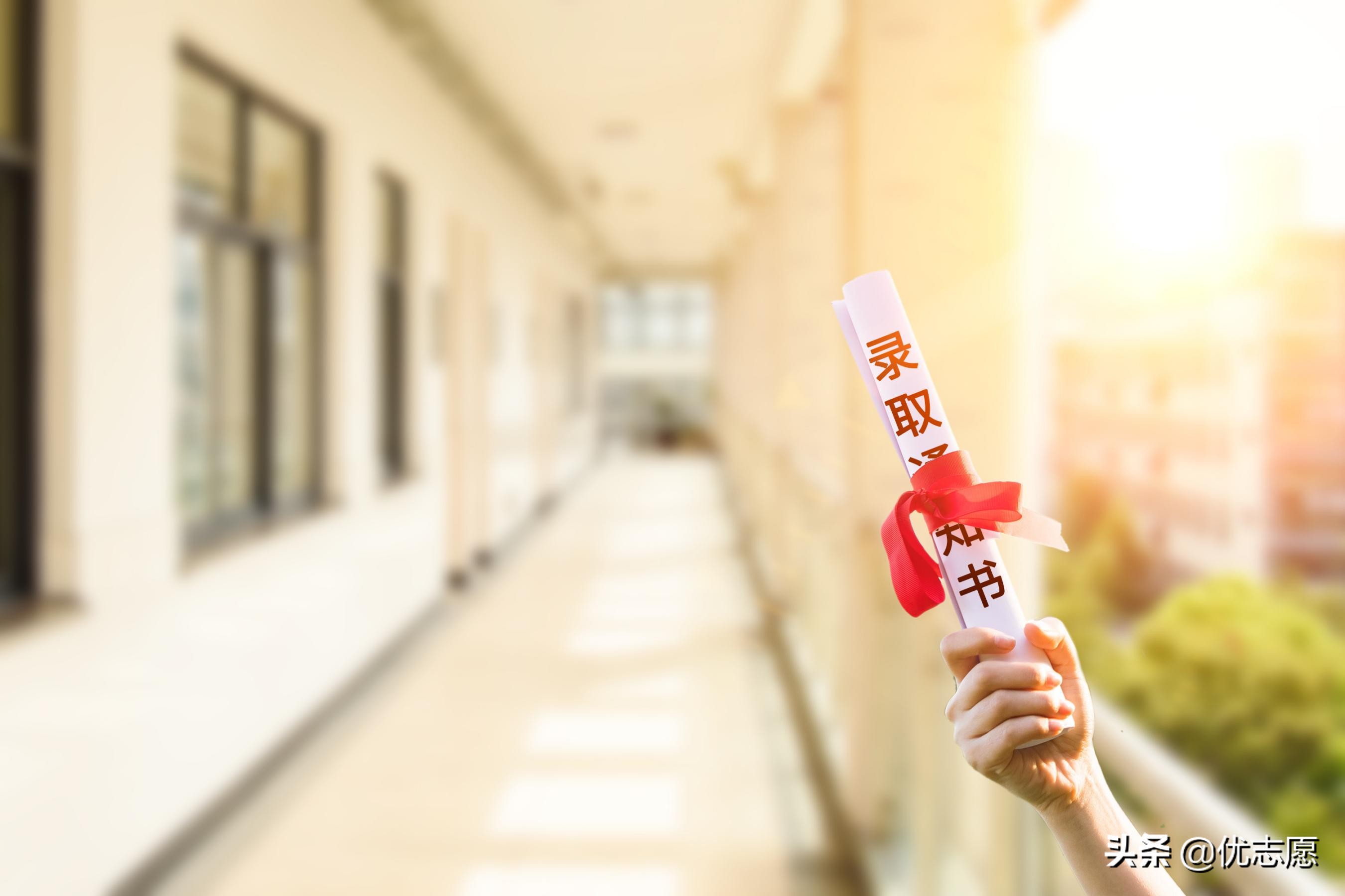 北京专科学校（2021年山东本科层次院校的专科专业热度较高）