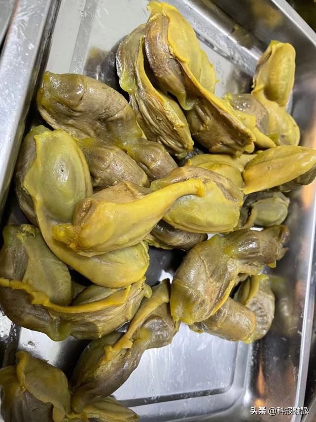 豫永鵝：做強(qiáng)鹵鵝產(chǎn)業(yè) 助力鄉(xiāng)村振興