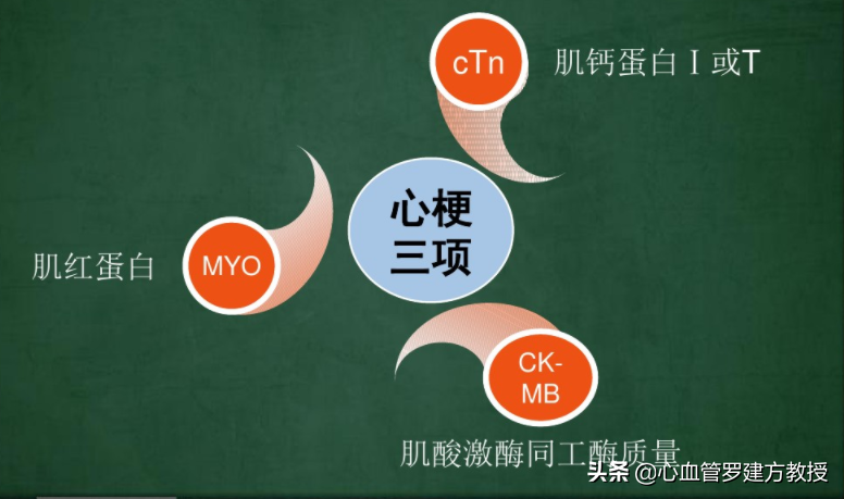肌酸激酶同工酶升高原因分析