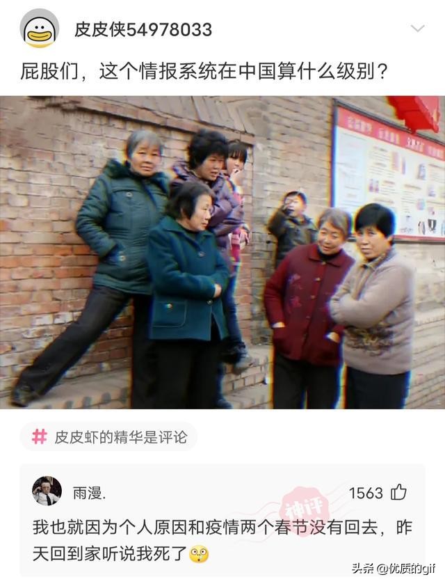 “大哥这驾照，我也是佩服了，警察叔叔都看懵了！”哈哈哈