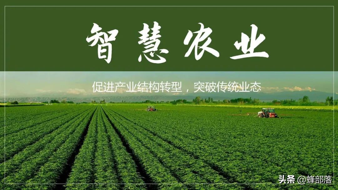 “十三五”農(nóng)機(jī)補(bǔ)貼958億，貼息貸款最高300萬(wàn)，哪些人得到實(shí)惠？