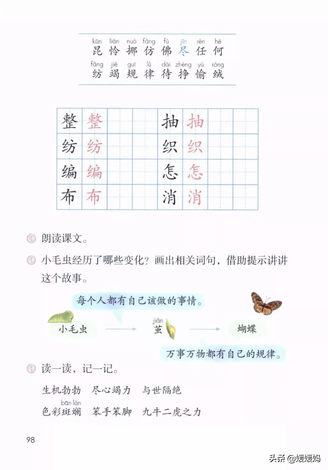 二年级下册语文课文22《小毛虫》图文详解及同步练习