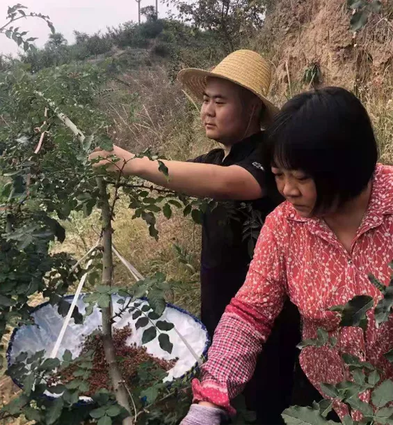 寒门贵子！甘肃励志男孩如愿考上西安交大，6年前曾在校门口留影
