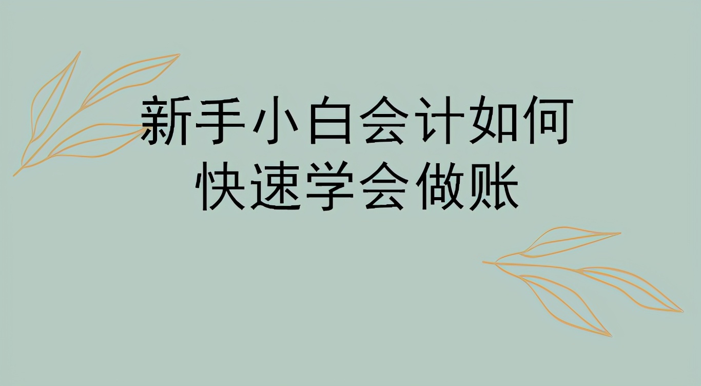 会计新手做账入门（新手小白会计如何快速学会做账）