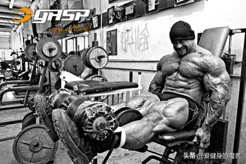 大佬怎么练腿？8个动作让你明天下不了床