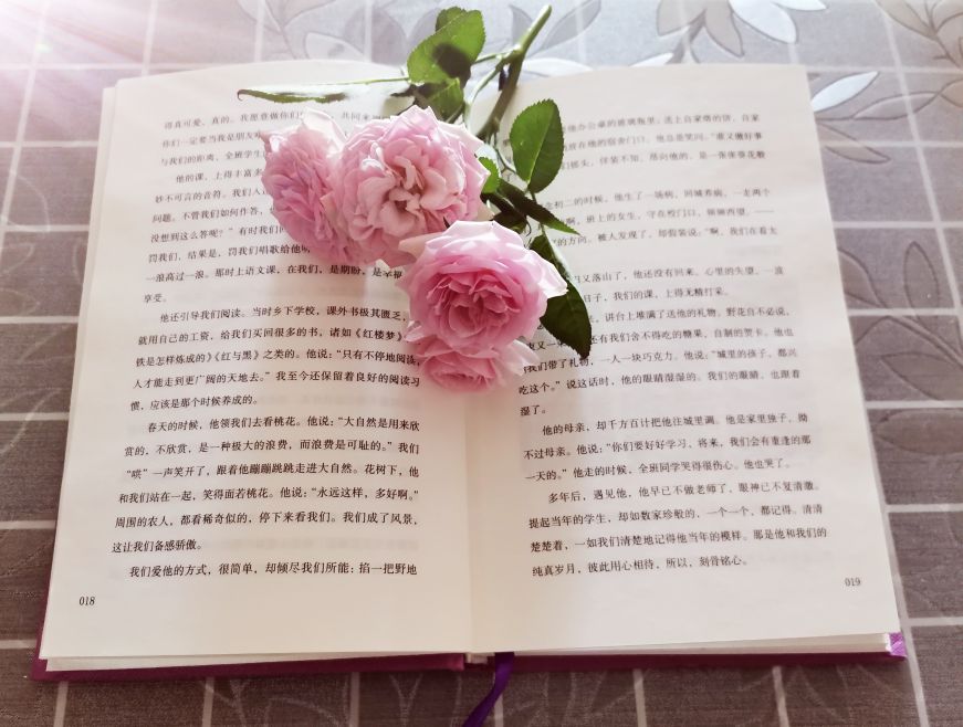 读《有美一朵，向晚生香》：爱是最好的老师