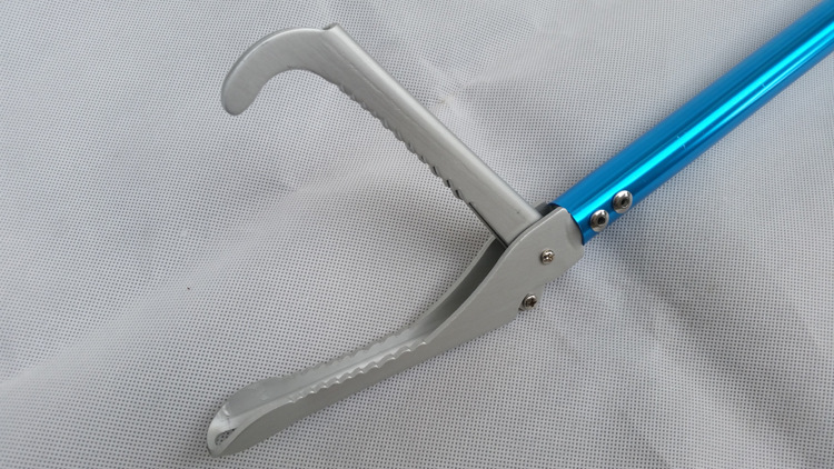 南宁一小区毒蛇频繁出现,究竟是从哪里来的?