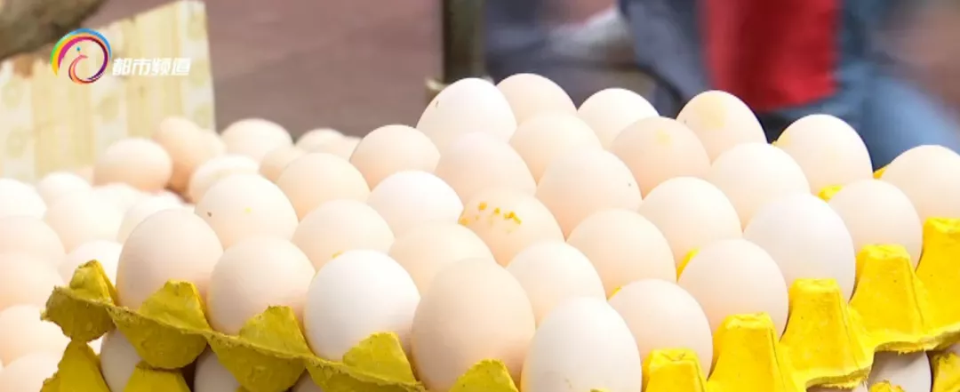 土鸡蛋和洋鸡蛋（土鸡蛋真的比洋鸡蛋好吗答案是这样的）
