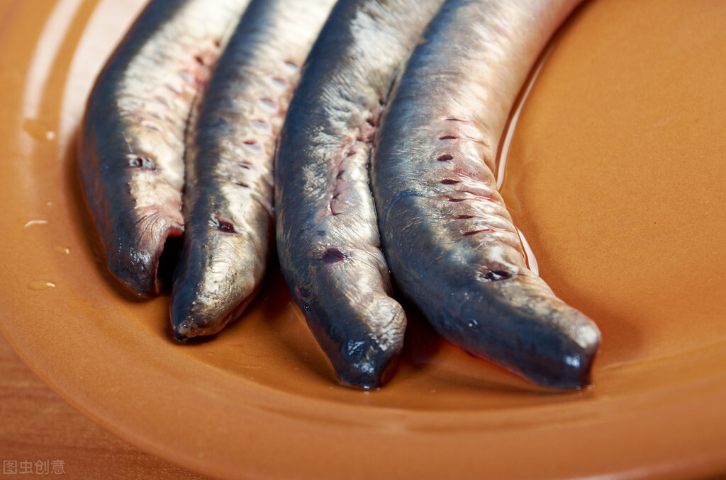 中国科学家在“活化石”中找到明星分子