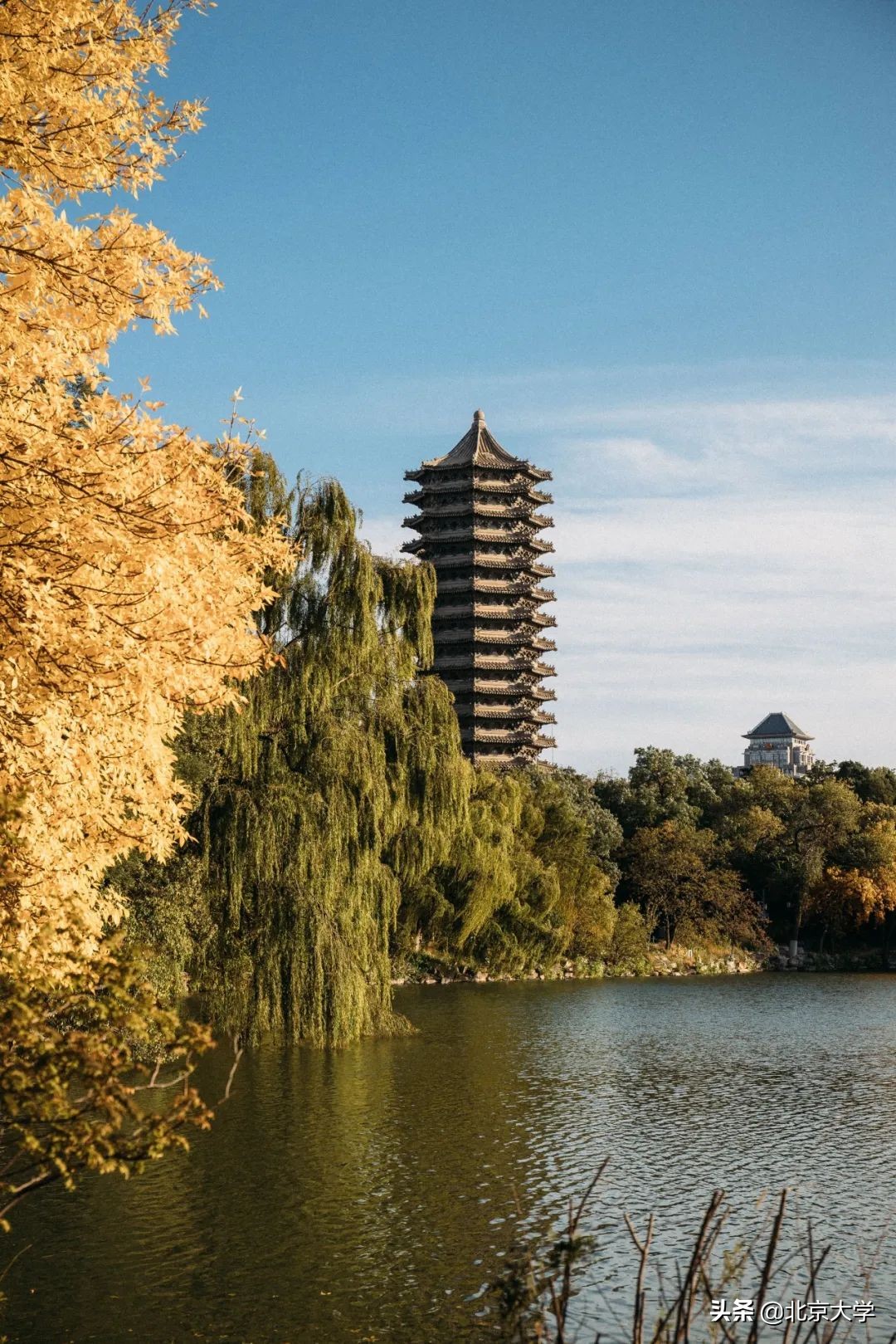 独家限定！北大赏秋地图来了