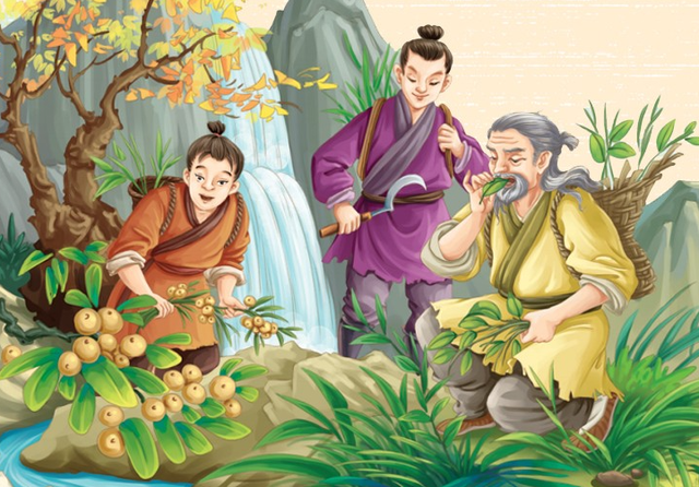 高考语文146，总分725拿下高考状元，学习方法让人佩服