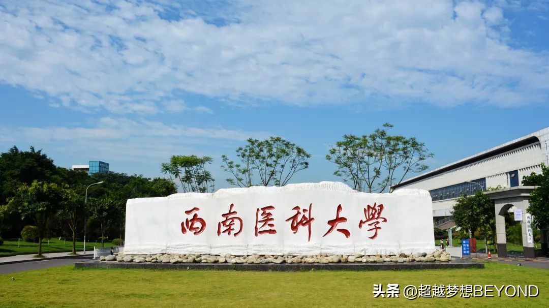 西南医科大学专升本（西南医科大学2021年四川省本科专业录取分数统计）