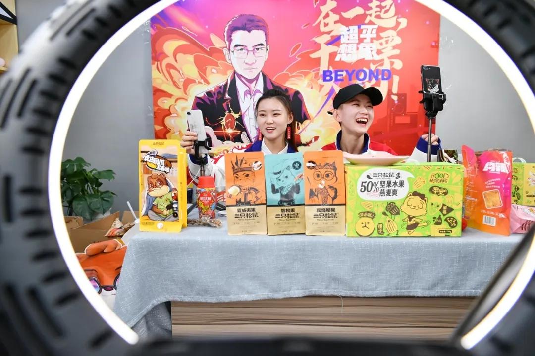 三只松鼠品牌崛起之路：从财报透视其成长逻辑与战略转型