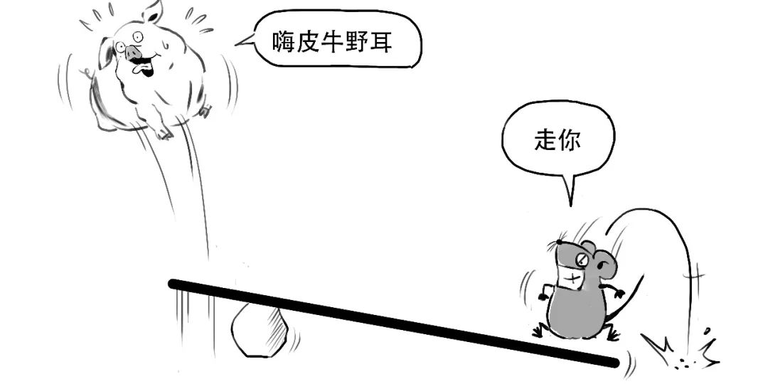 融资融券什么意思,股票的融资融券什么意思