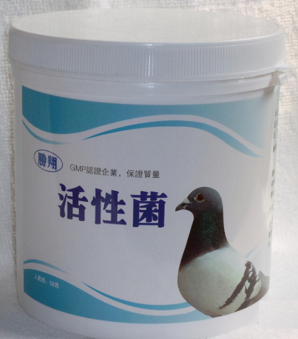 鹦鹉拉肚子吃什么药（做好这三点让你轻松养鹦鹉）