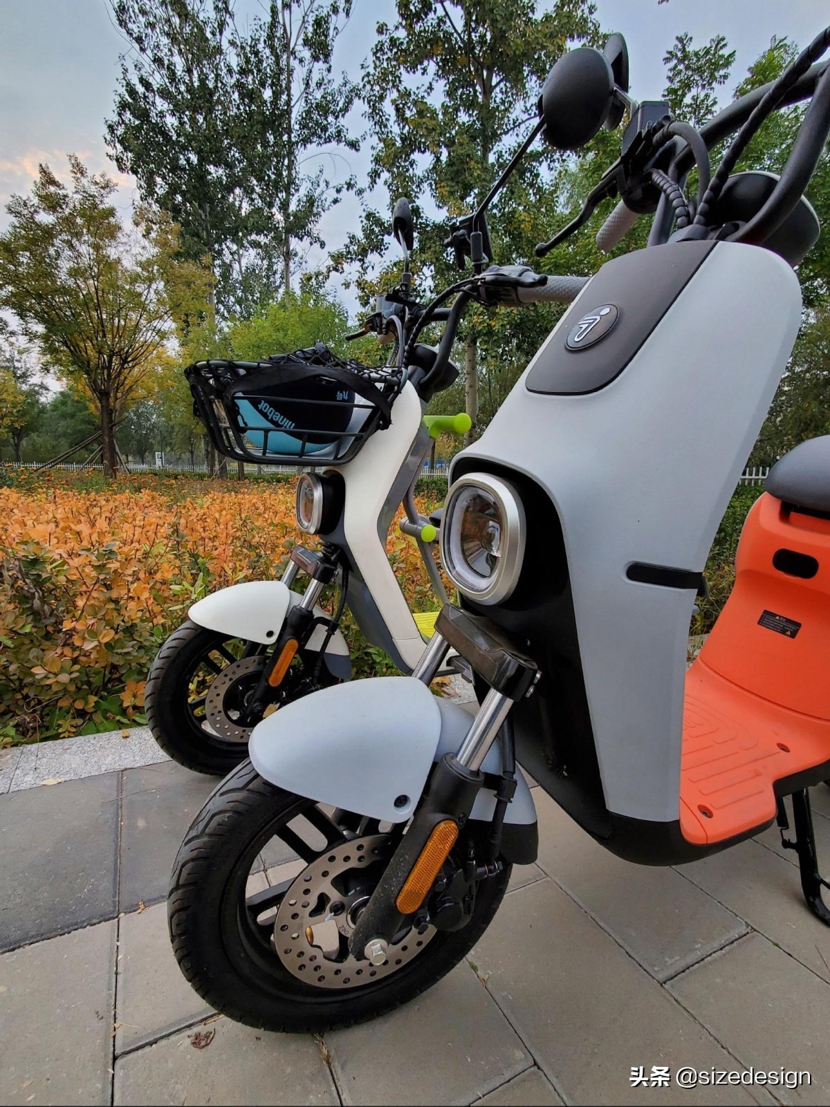 一个像宝马，一个更Mini？九号电动B系C系实车对比骑行体验