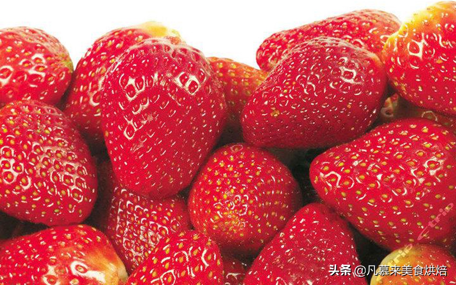 24种常见草莓品种，中国20大草莓产地？哪里的草莓最好吃？