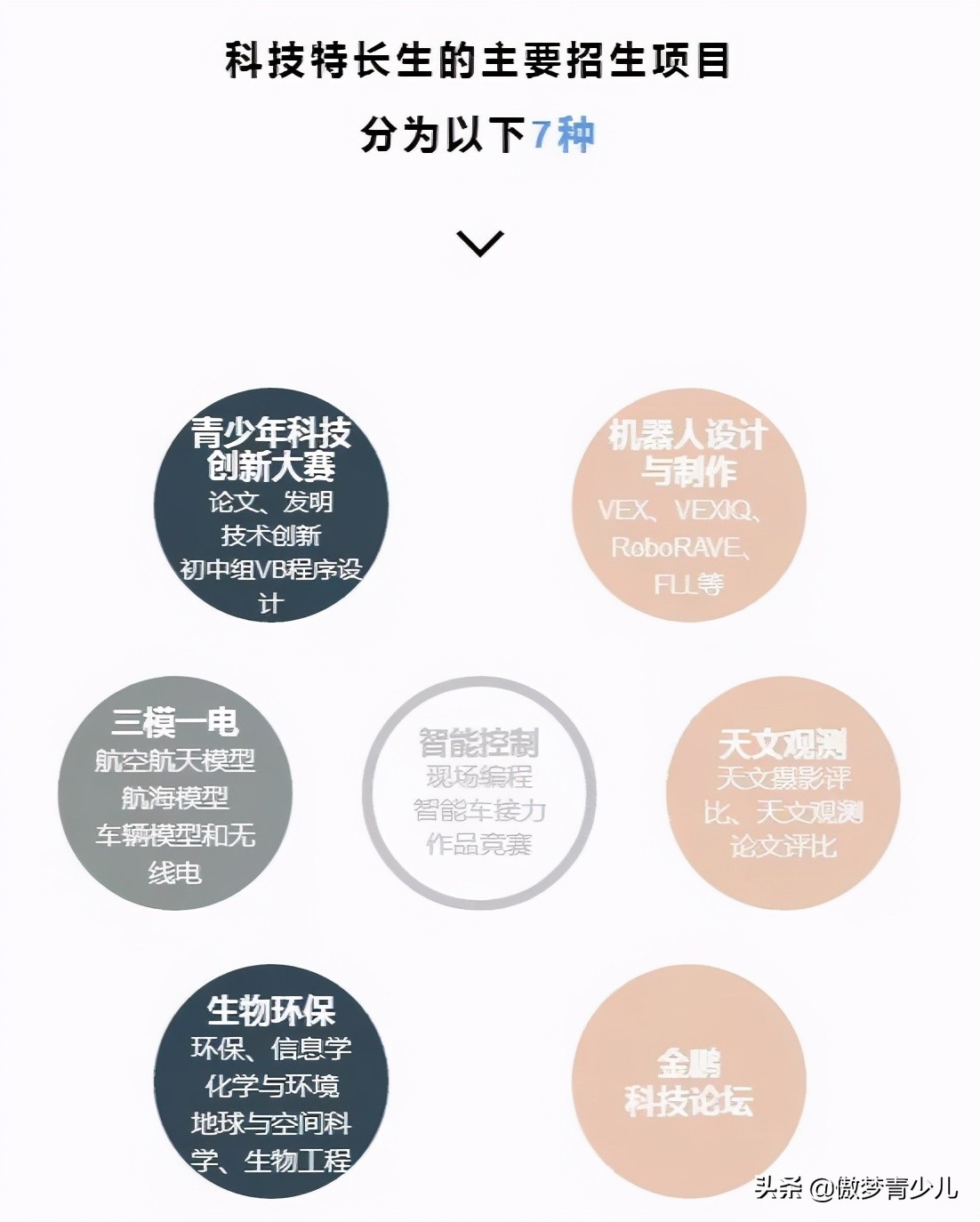 高考中惊现编程题？除了浙江，居然还有这些地方在考编程