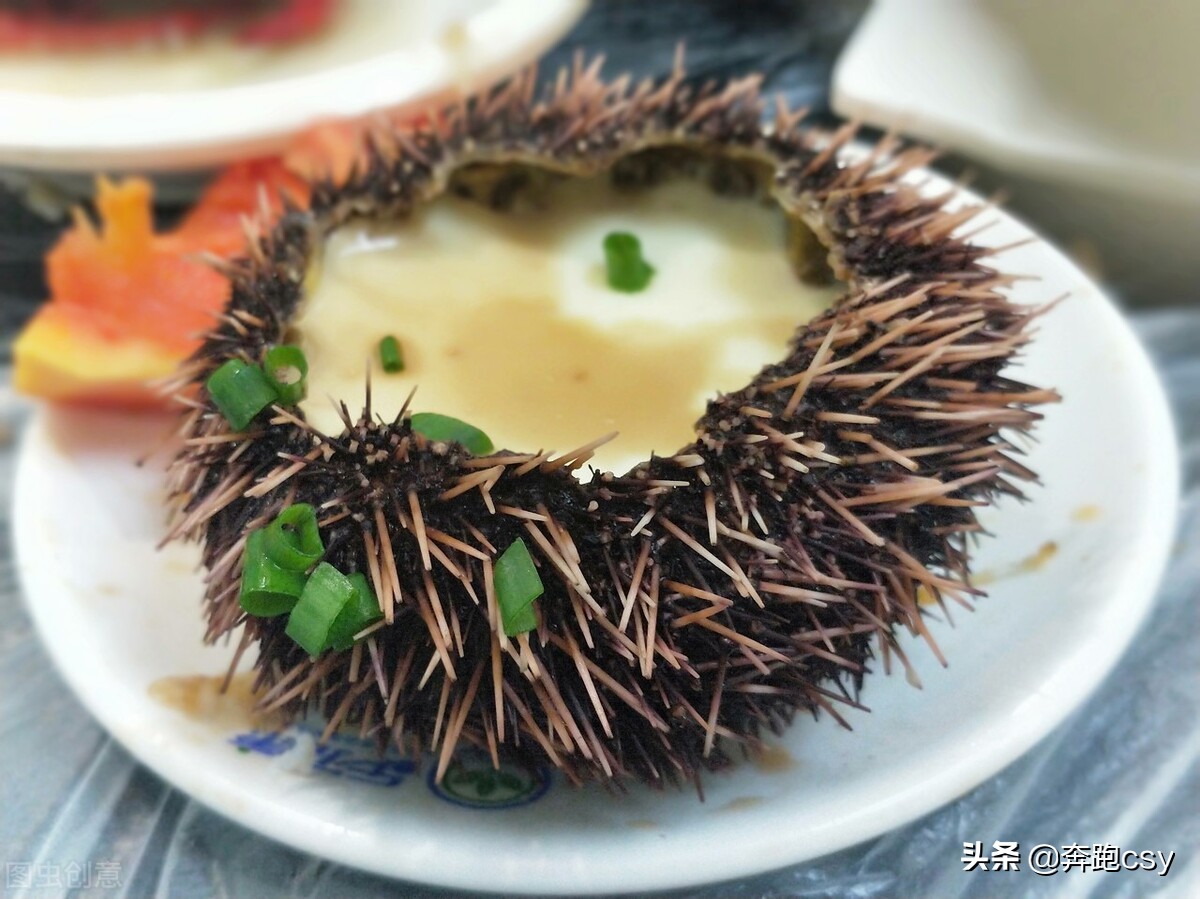 海膽的做法,海膽的做法與吃法