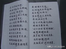 关于汉字——谐音字里的变幻