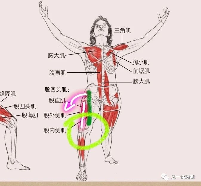 为什么nba球员投篮膝盖内扣(老师：为什么膝盖总喜欢内扣，而且怎么调整都没用呢？)