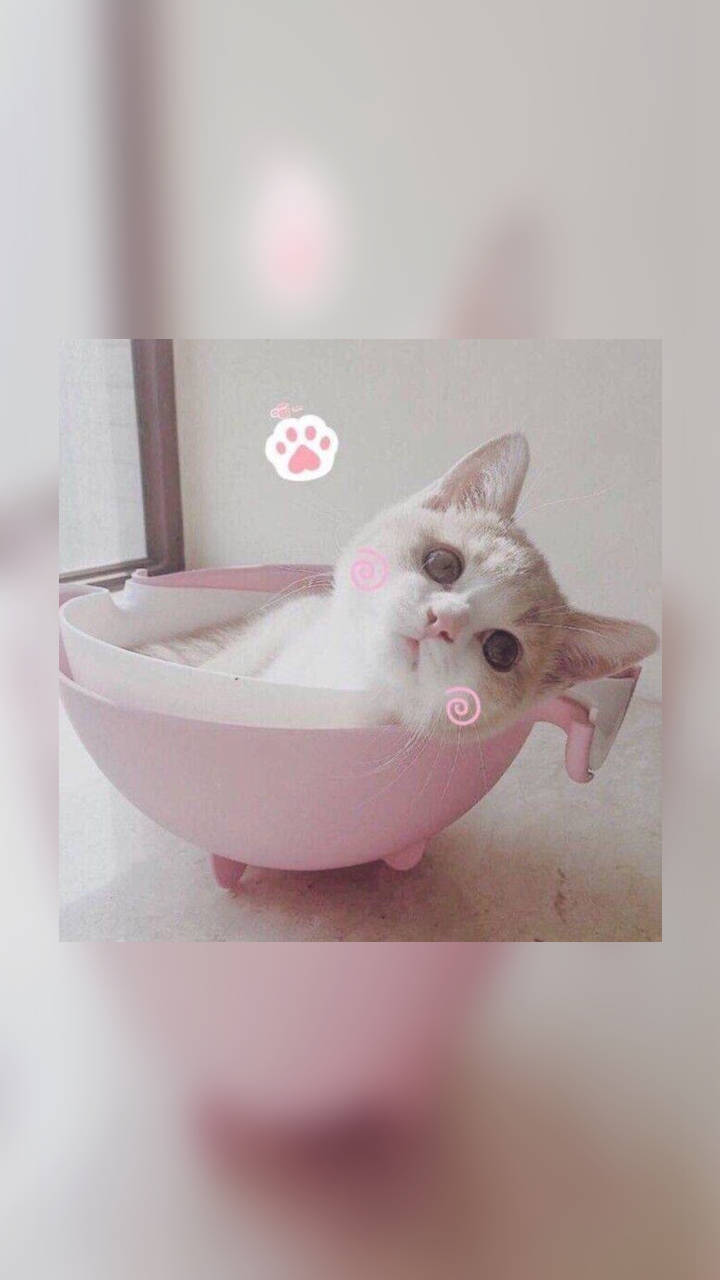 如此调皮可爱的句子,每天都想发一条到朋友圈,心情美美哒!