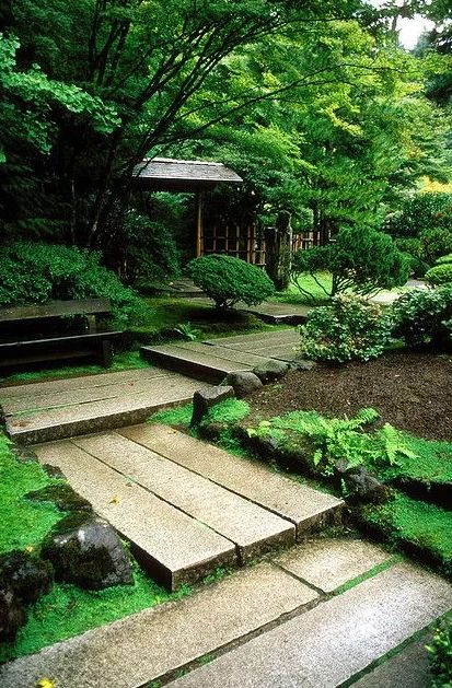 蝉这首诗表达了什么禅的意境的诗词