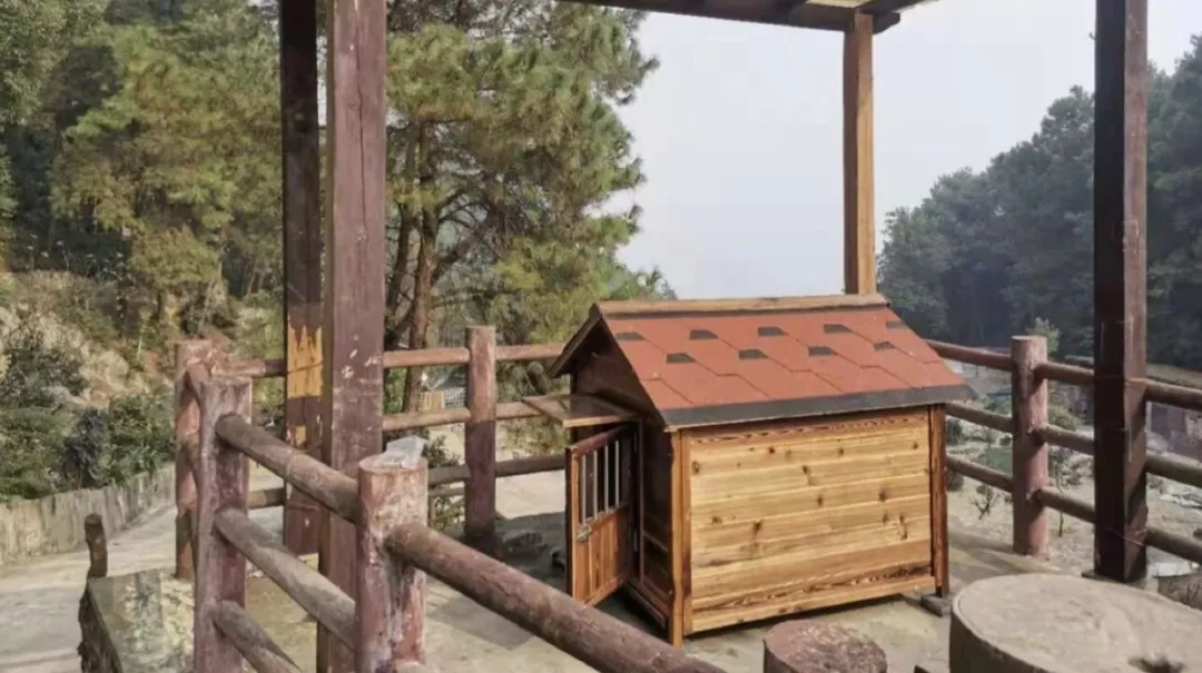 重庆购物狂家居装修