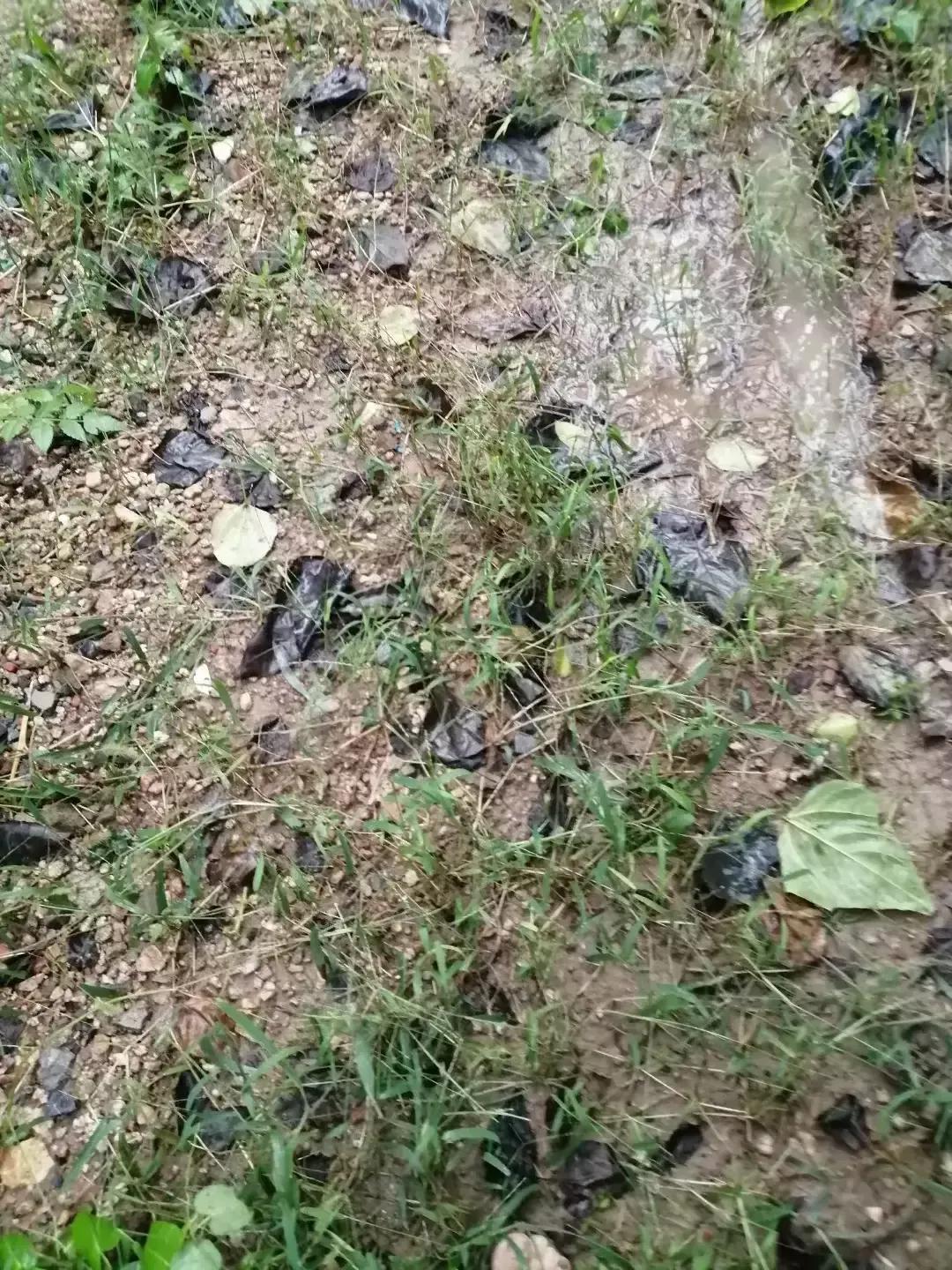 2021113յھŷݹܽ᣺Բݲ׼ʵ