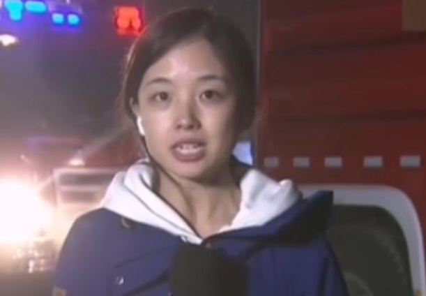 央視10大美女主持人，個(gè)個(gè)才貌雙全，董卿知性，海霞端莊
