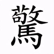 惊蛰，起来聆听自然的声音