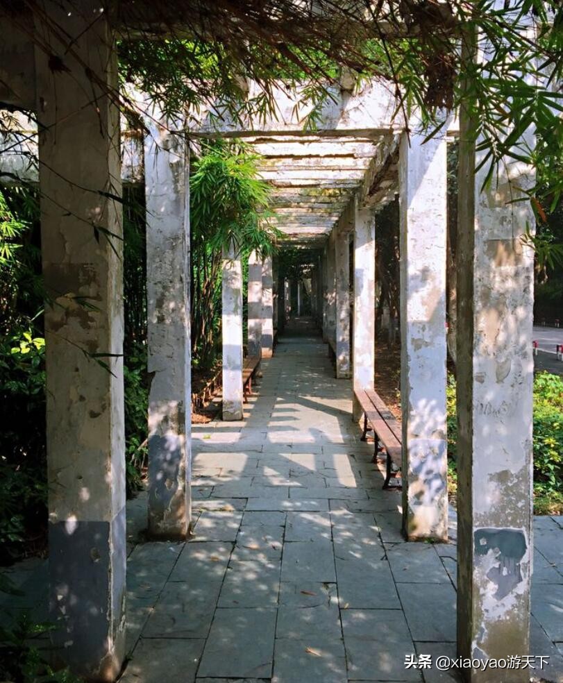 最美大学之旅——华中师范大学