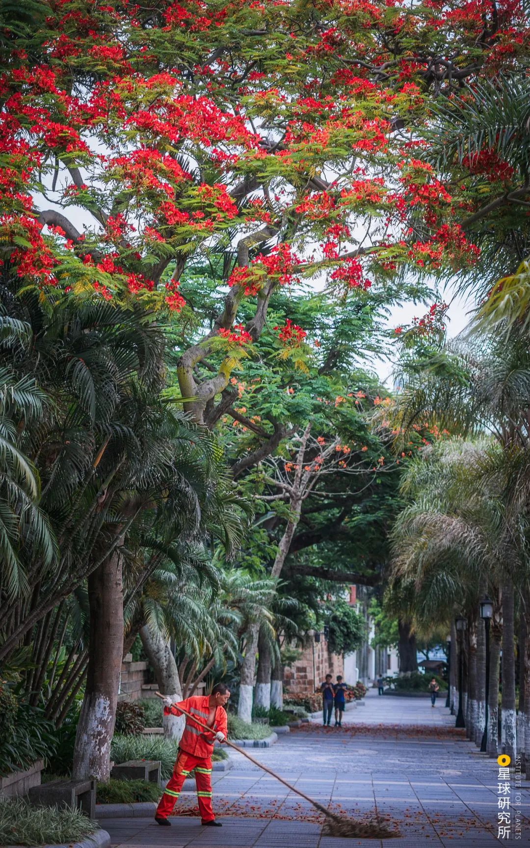 厦门：中国人的海上花园