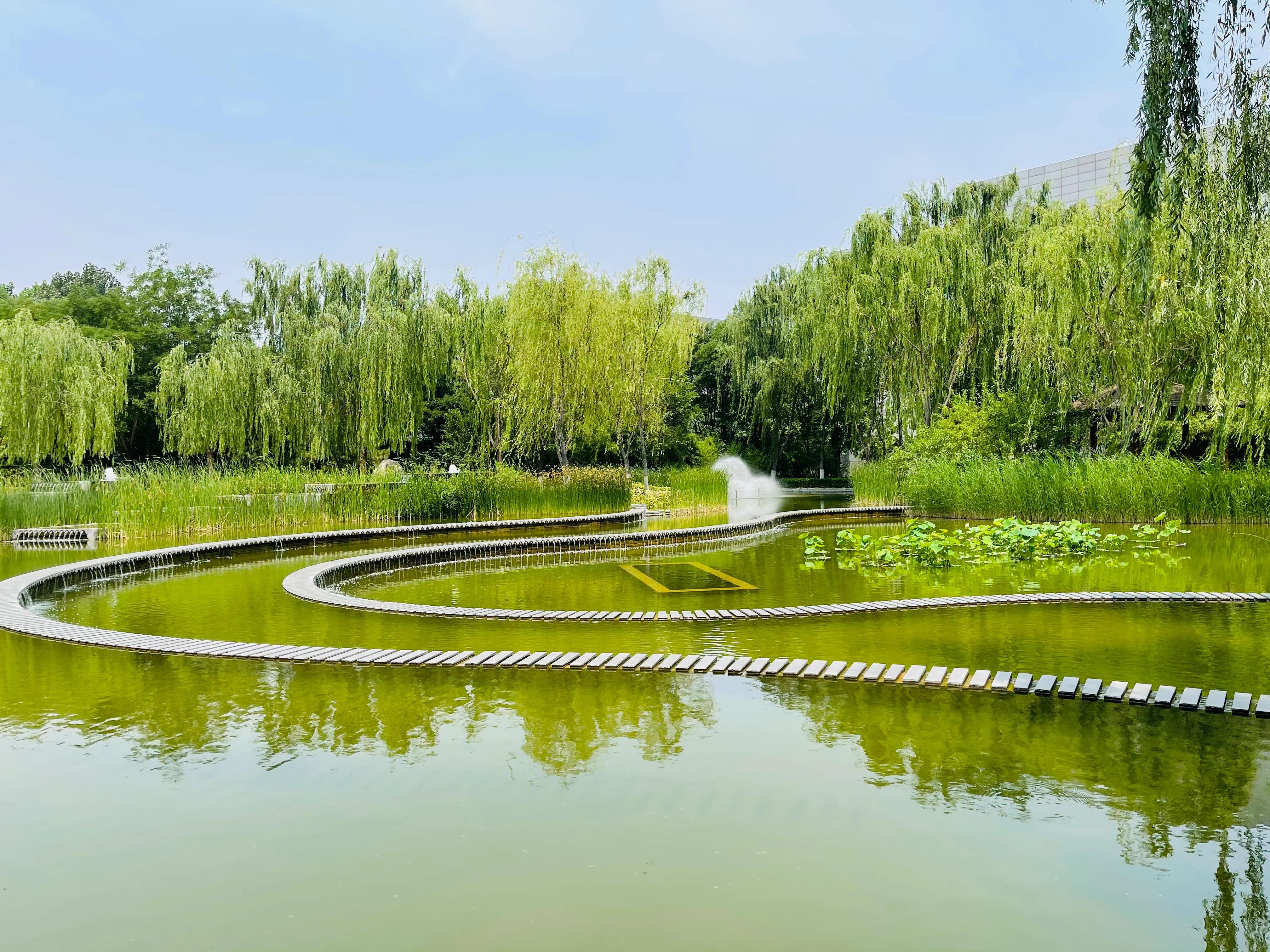 河北师大—惠泉