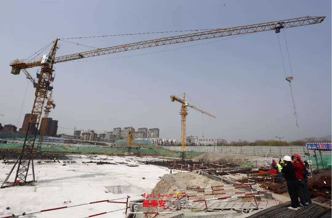 泰安新建两所学校，这片区域要变学区房！