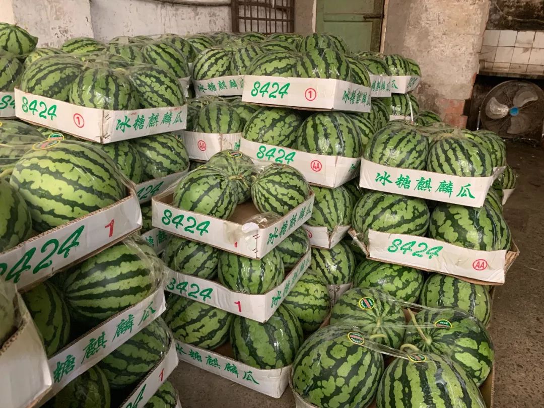 满街的8424西瓜真假难辨，教你做一名合格的吃瓜群众