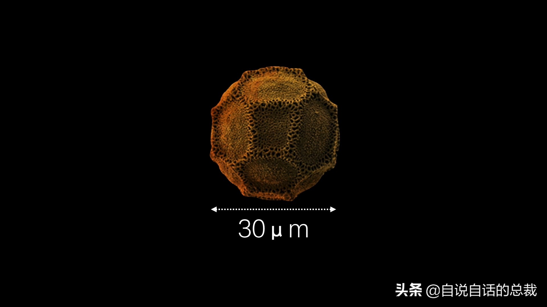 当你爆发过敏性鼻炎时，这就是你体内发生的故事