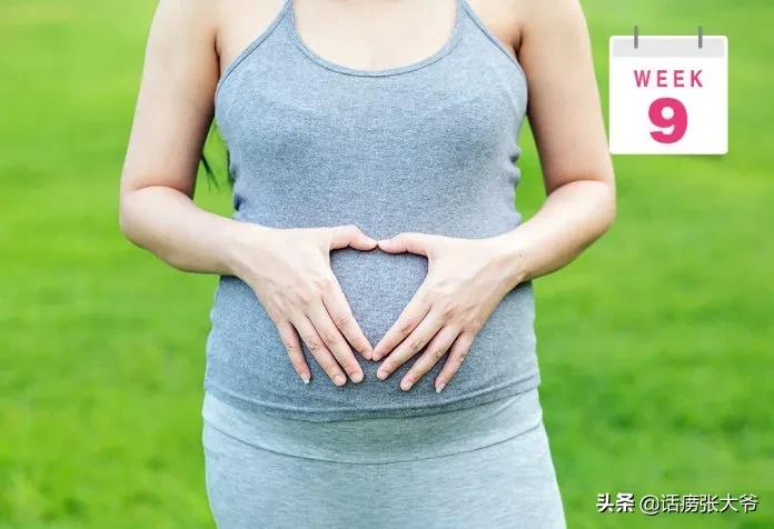 1至40周胎儿发育过程图