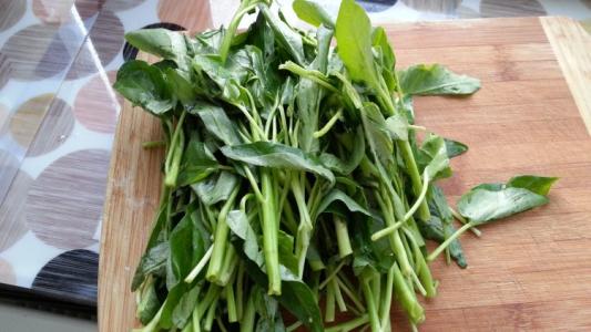 空心菜葉子能吃嗎,菜心的葉子能吃嗎