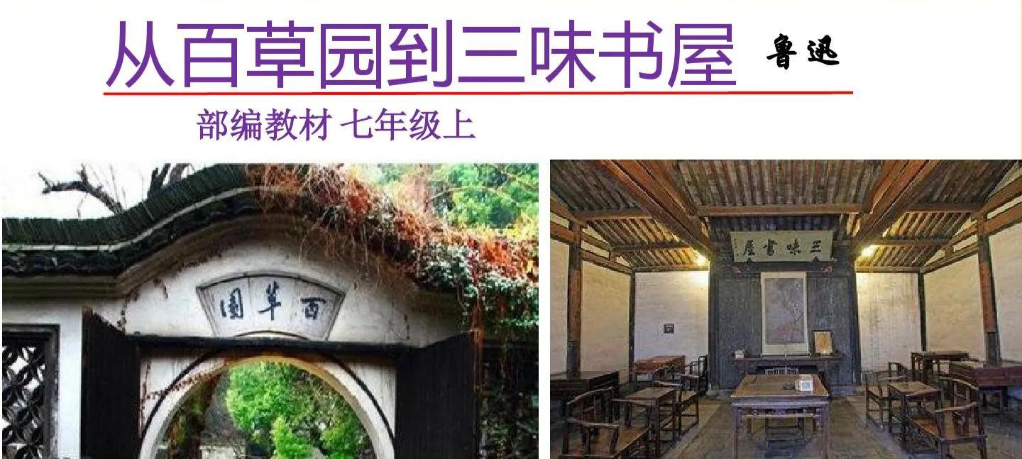 从百草园到三味书屋，课文笔记，预习专用