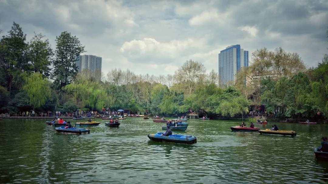 公办!直升!成都这些公立学校小升初可以直升,太让人羡慕了