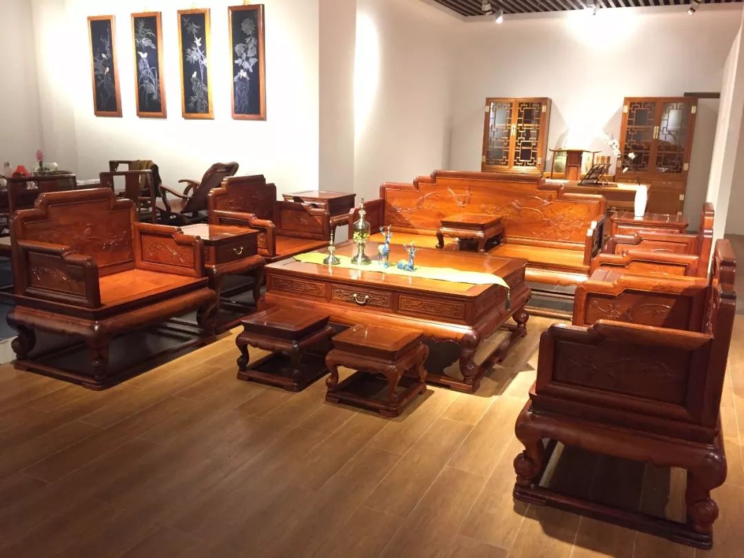 缅甸花梨（大果紫檀）如此消耗，7年后将彻底消失！