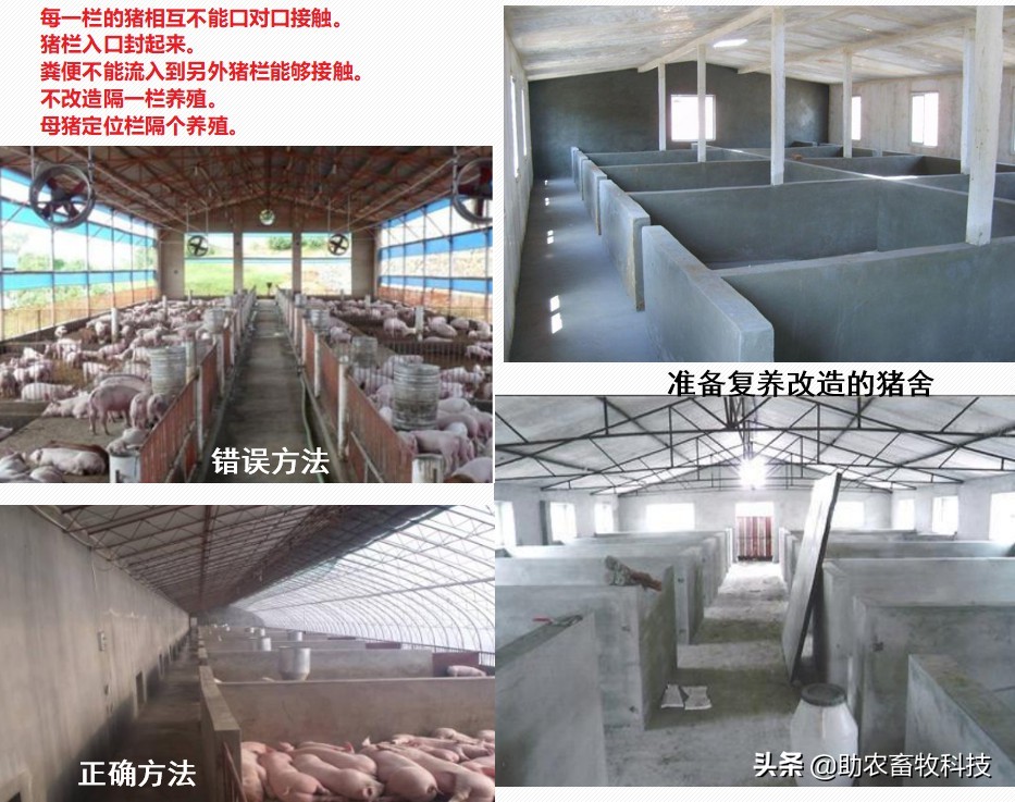 çŒaåœoå‘çŽ°ç–‘ä¼¼æ„ŸæŸ“éžæ′2çŒaç˜ŸåŽå|‚ä½•å¿«é€ŸæŽ§åˆ¶ä¸‹æ￥