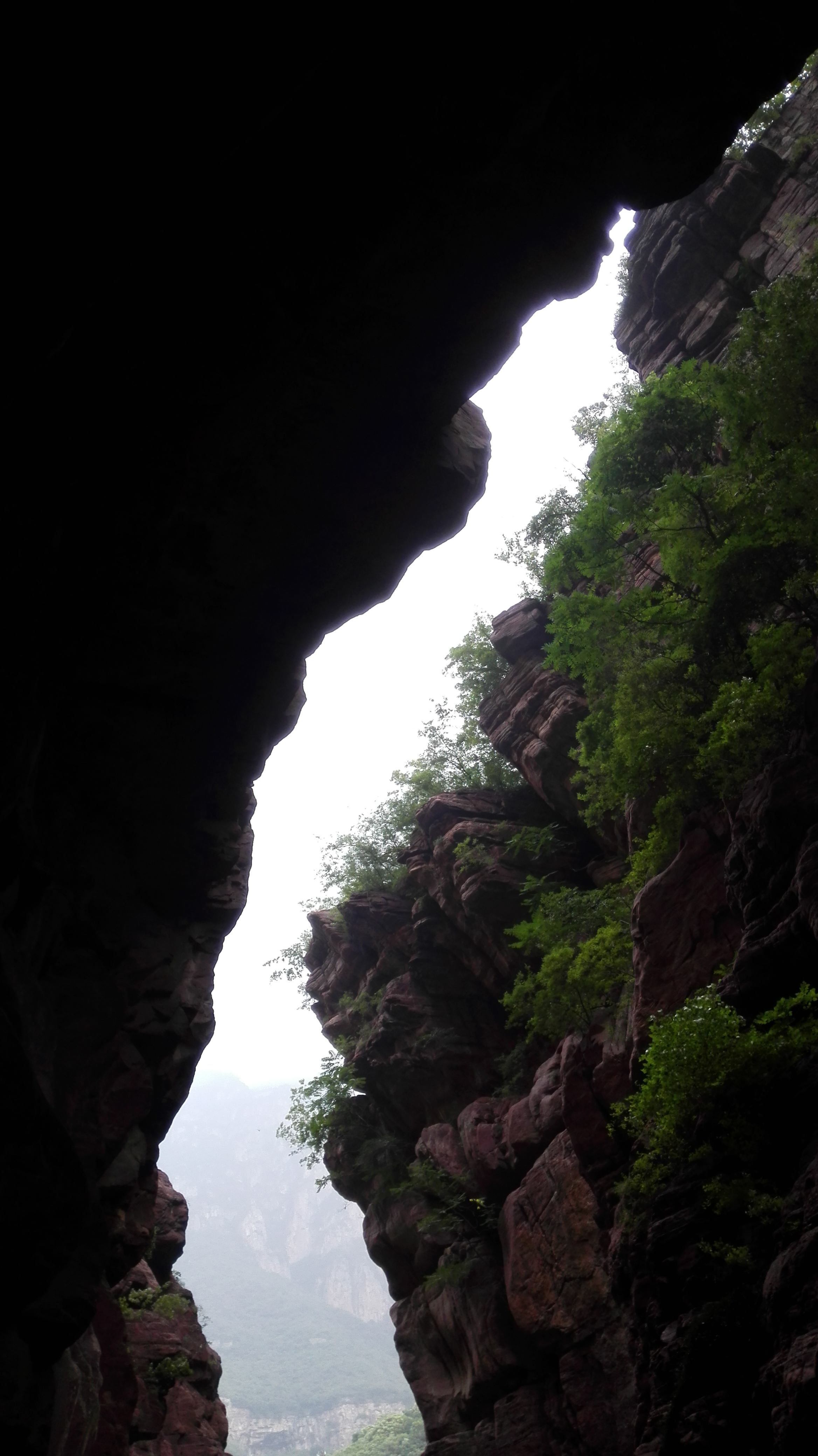 高考语文试题《天嚣》深度阅读