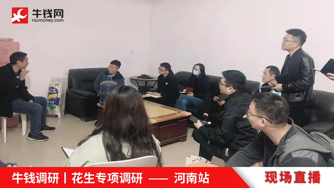 牛钱调研丨河南花生专项调研第一天