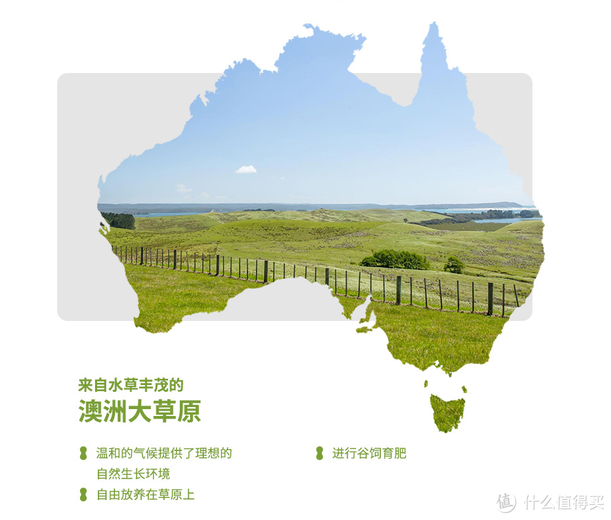 牛排选购干货知识助你购买不踩坑 & 精选好肉分享安利