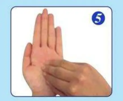洗手的步骤分为几步（正确的七步洗手法的先后顺序）